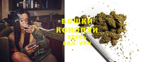 прущие крисы Богданович