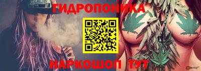 ALPHA-PVP Бийск