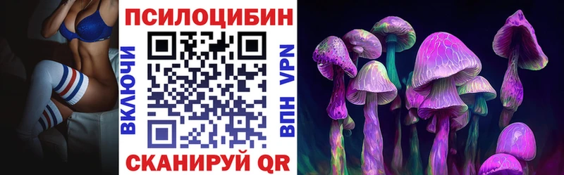 ОМГ ОМГ зеркало  Бузулук  Псилоцибиновые грибы Psilocybe 