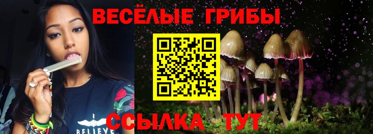 Псилоцибиновые грибы Magic Shrooms  Галлюциногенные грибы мицелий  Вход с VPN  Бузулук 